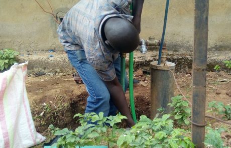 Fresh Water at Lenana