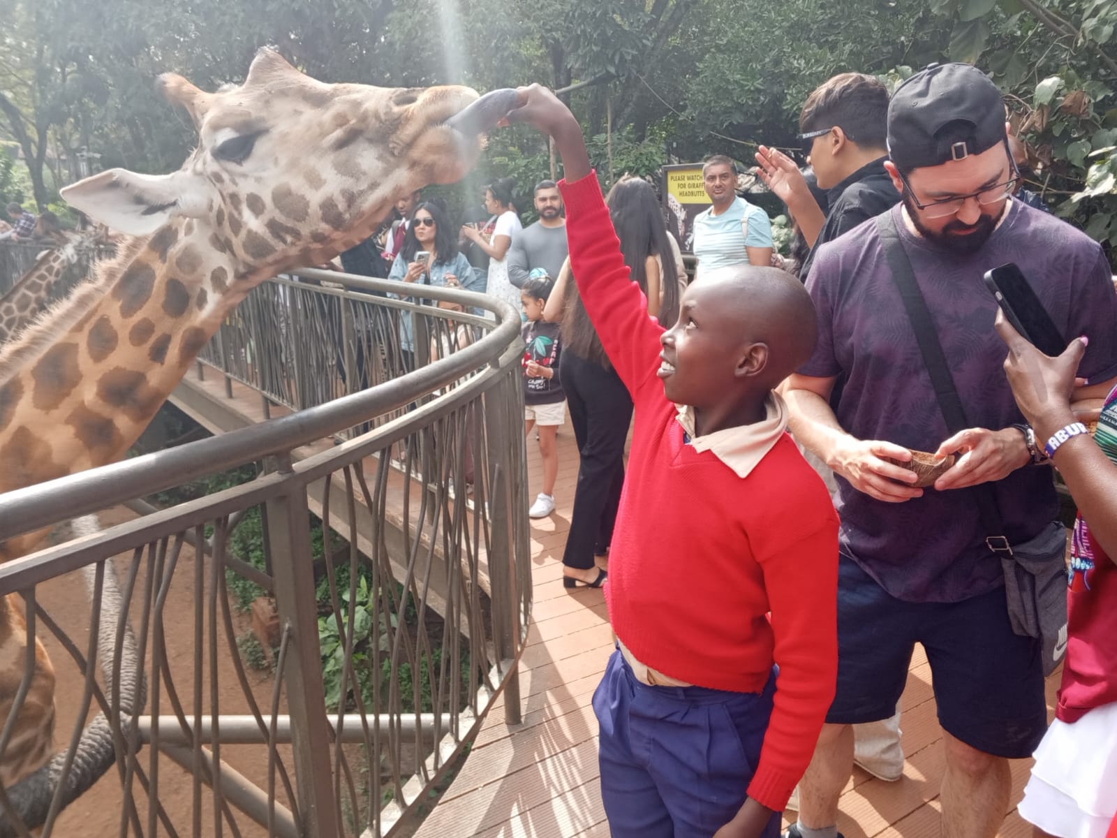 Giraffe-Cnt-feeding-Keneni-June26